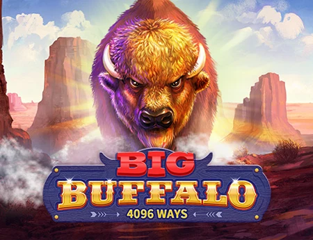 Big Buffalo