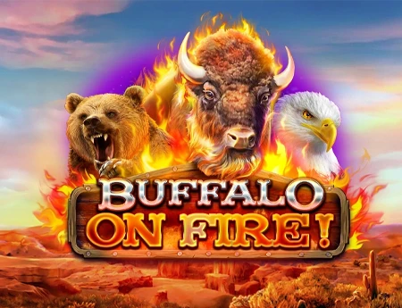 Buffalo on fire!