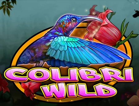 Colibri Wild