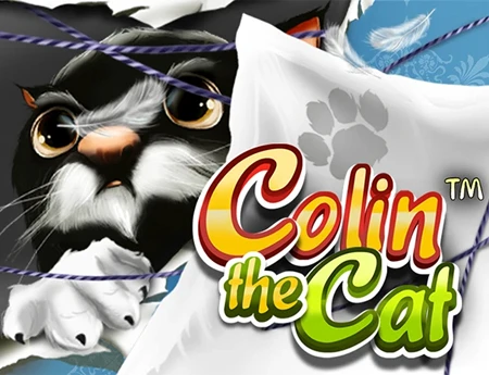Colin The Cat