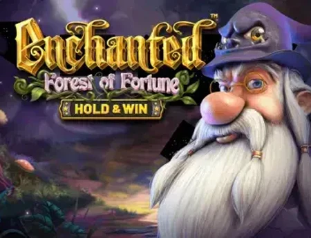 Enchanted Forest of Fortune: Hold and Win