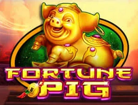 Fortune Pig