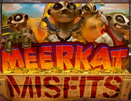 Meerkat Misfits
