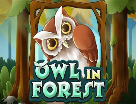 Owl In Forest