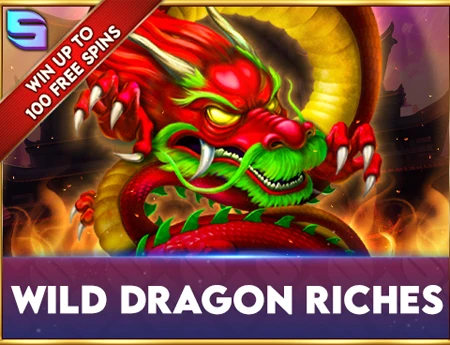 Wild Dragon Riches