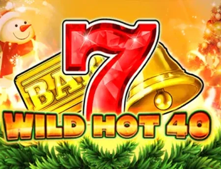 Wild Hot 40 Christmas